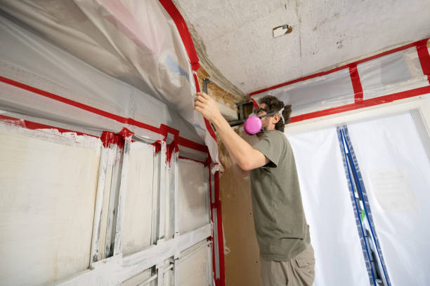 Best Asbestos and Lead Testing During Mold Inspection  in Huron, CA