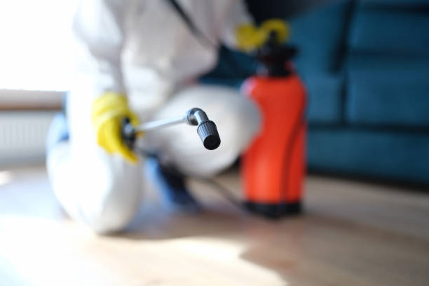 Environmental Consulting for Mold Prevention in Huron, CA