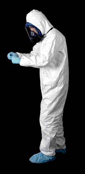 Best Mold Damage Restoration  in Huron, CA