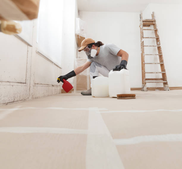 Best Mold Odor Removal Services  in Huron, CA
